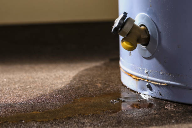 Woodmore, MD Water damage restoration Pros