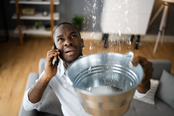 Best Professional water damage repair  in Woodmore, MD
