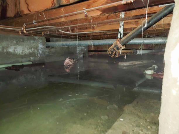 Best Water damage restoration near me  in Woodmore, MD