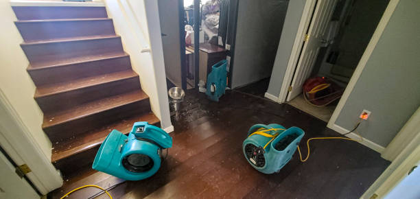 Trusted Woodmore, MD Water damage restoration Experts