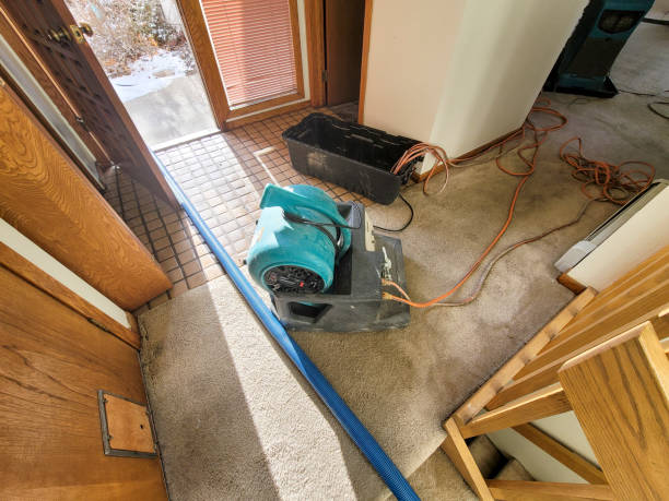 Best Water damage restoration experts  in Woodmore, MD