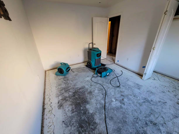 Best Sewage cleanup and water damage restoration  in Woodmore, MD