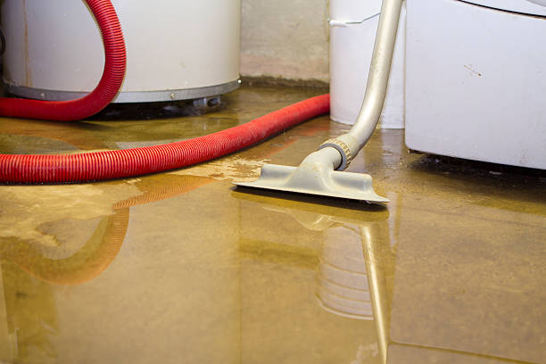 Best 24-hour water damage restoration  in Woodmore, MD