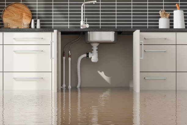 Sewage cleanup and water damage restoration in Woodmore, MD