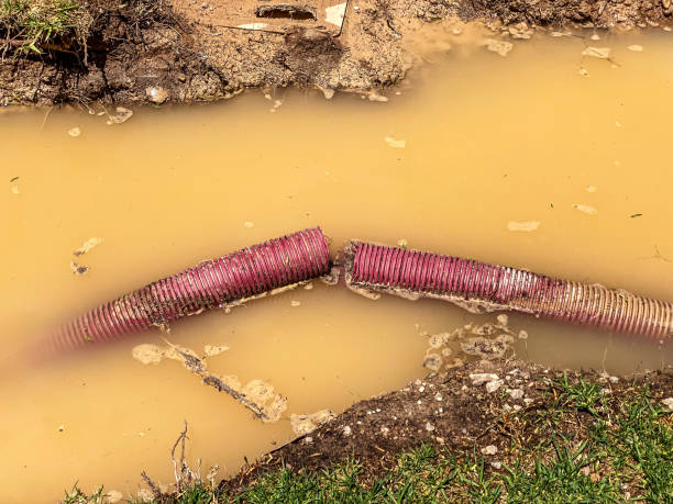 Best Water damage cleanup near me  in Woodmore, MD